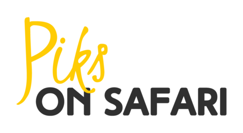 logo-piks-on-safari