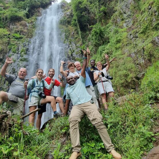 Excursión en familia a Materuni Waterfalls